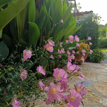 Сasa de vacaciones Lora's House Velonádes